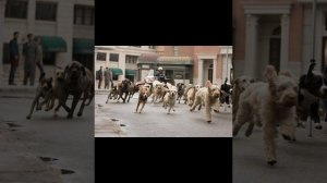 1000193389.mp4