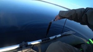 Гладышевское озеро. Рыбалка 15.06.25.