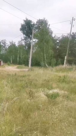 костоусово1видео