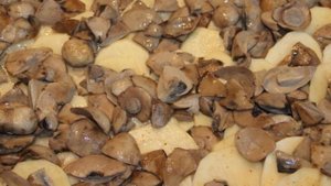 Картофельная запеканка с грибами и сыром