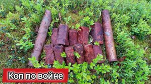 Коп по войне. Раскопки на тыловых позициях Ленинградского фронта | ПКВ #28
