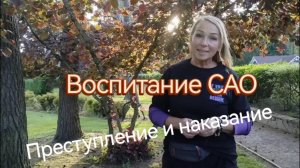 ОШИБКИ В ВОСПИТАНИИ САО. Преступление и наказание.