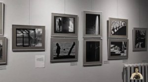 Крик птицы зазвучал 3 апреля на Некрасова,3 в фотомобильном проекте Анатолия Кухарчука