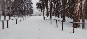 По Павловскому парку