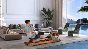 ГРЕБНОЙ ТРЕНАЖЕР FLUID ROWER VIKING PRO XL