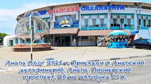 #Анапа Влог 2025 г. Приехали в Анапский дельфинарий, Анапа, Пионерский проспект, 20 на автобусе 114.