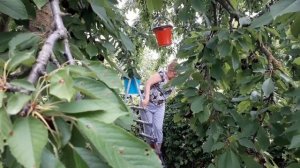 И снова Орловка  25