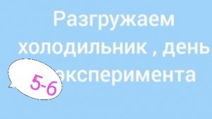 Эксперимент, день 5-6 Разгрузка холодильников, экономия бюджета