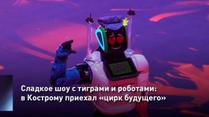 Сладкое шоу с тиграми и роботами: в Кострому приехал «цирк будущего»