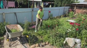 Утро в деревне / Кормим бездомных котят / Работаем на участке / Простая жизнь.
