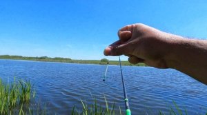 МАТЧЕВАЯ ЛОВЛЯ  ЛОВЛЯ КАРАСЯ  МИКРОВАГЛЕР   ВАГЛЕР. поплавок своими руками.