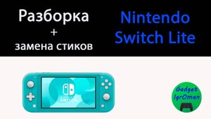 Как разобрать игровую приставку Nintendo Switch lite + замена стиков
