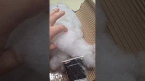 РАСПАКОВКА Anthurium sp. Silver Pery