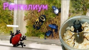 Кусочек Рептилиума  2025 с эффектом присутствия)