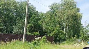 Полевой корьер / грибов нет / пионы, купаемся