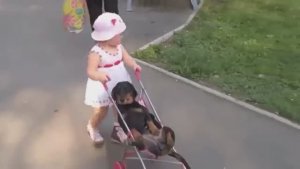 Жизнь удалась...
