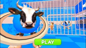 Побег.Побег от лавака сатурно сатурнито