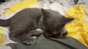 Сегодня активный день занимаемся спортом, активность + 100%