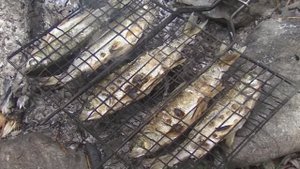 Пикник с рыбалкой на берегу Ингоды