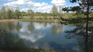1142, 16.05.2021, Орловский район, лесной массив, лес, деревня, Вязки, Абашевский, пруд, карьерный,