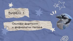 Основы анатомии и физиологии голоса