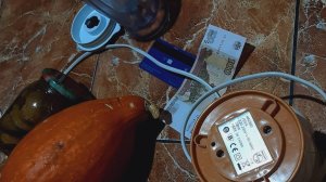 Мини-блендер Philips HR2860 и плацинды по-полтавски на рассоле с тыквой 08.01.2025