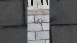 Чудеса создаем мы сами