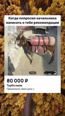 [https://t.me/lilmanada|ЗНМ]