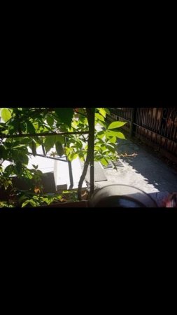 Осваиваю Стронг.
Поняла, что эта пятка подходит для высокого подъёма.