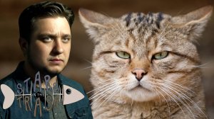 КОТ СБЕЖАЛ - Stars In The Trash