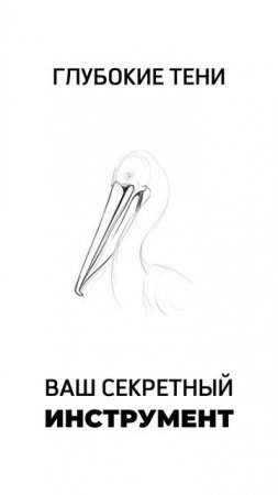 АКЦЕНТЫ в РИСУНКЕ