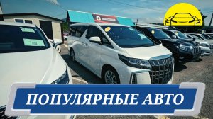 #vitaminauto ПОПУЛЯРНЫЕ АВТО