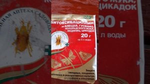 Фунгицид Строби, инсектицид Битоксибациллин.