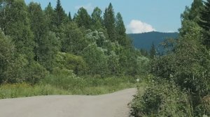 Дорога возле села Приисковое (Хакасия).