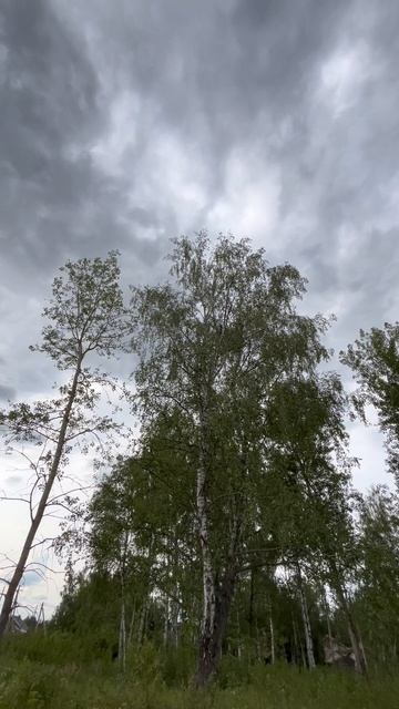 Участок 5.5 соток в Москве