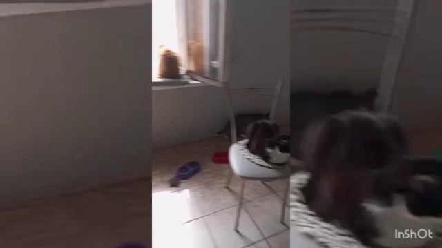 Котекофе в Выборге
