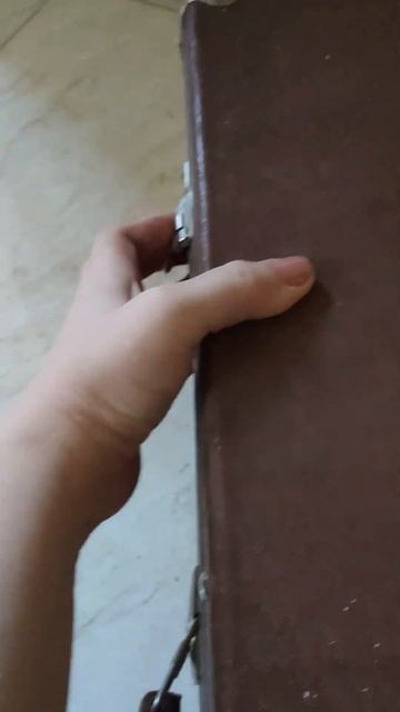 Подскажите идеи декора винтажного чемодана #идеидлядизайна #предметыинтерьера #diy смотреть онлайн