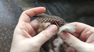 DIY Старые шубы не выбрасывайте. Покажу, что можно связать из шкурок меха, вязанный мех