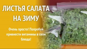 Заготовка зеленого салата в зиму. Заморозка листьев салата.
