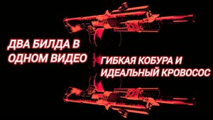 Дивизия 2 | Tom Clancy's The Division 2 два Билда Гибкая Кобура Разбиватель Сердец и Боевик