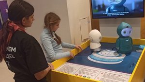 Робот Джибо. РобоПарк. г. Тула. Ноябрь 2024 г.