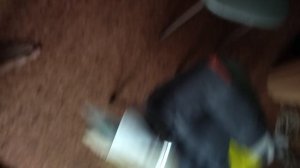 1000019550.mp4