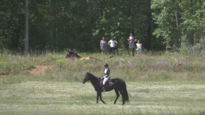 Скачки Сабантуй 2025 Набережные челны Ипподром.