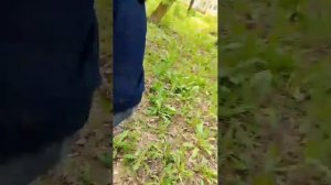 проблемы жизни 1 сезон  2 серия