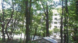 туапсе пенсионат весна