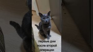 Атос, фильм 1 (Спасение)
