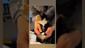 НАШИ ЖИВОТНЫЕ. 16.06.2025г. 🥰🥰🥰 Они для нас СТРАНИЦА В ЖИЗНИ, а мы для них И ЕСТЬ ВСЯ ЖИЗНЬ!