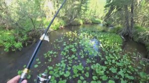 Рыбалка на речке в непролазной ТАЙГЕ СИБИРИ/ Ловля Хариуса в ИЮНЕ 2025г/ ДИКИЕ МЕСТА!