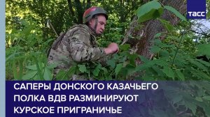 Саперы Донского казачьего полка ВДВ разминируют курское приграничье