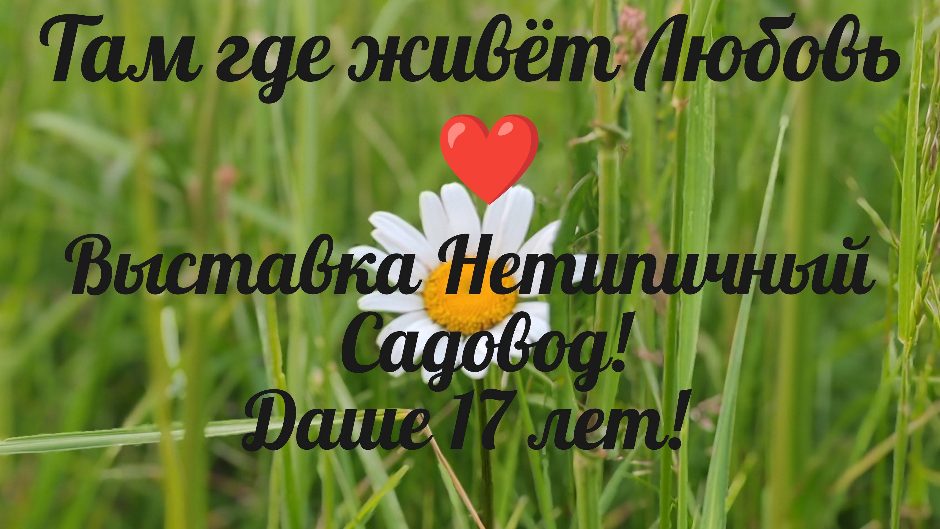 #17 Выставка Нетипичный садовод! Даше 17 лет!